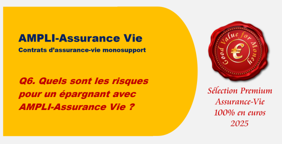 Q6. Quels sont les risques pour un épargnant avec AMPLI Assurance Vie ?