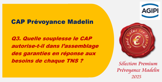 Q3. Quelle souplesse le CAP autorise-t-il dans l’assemblage des garanties en réponse aux besoins de chaque TNS ?