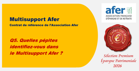 Q5. Quelles pépites identifiez-vous dans le Multisupport Afer ?